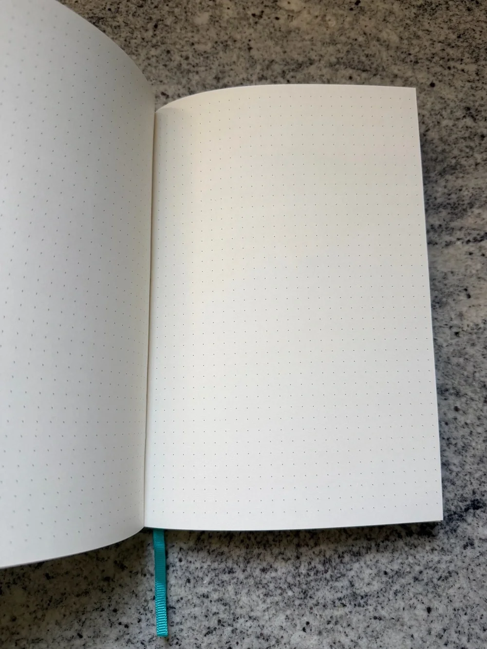 NWT Minimalism Art Teal Dotted Classic Sleek Notebook
